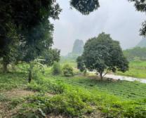 Lô 2000m đất Cây hàng năm Lương Sơn, Hoà Bình